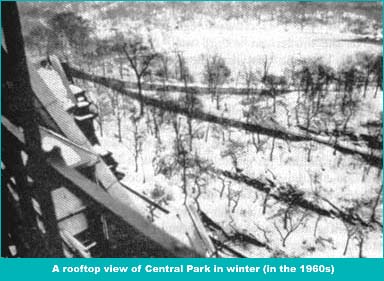 A rooftop view of Central Park taken from the Dakota (in the 1960s).